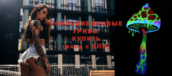 таблы Богданович