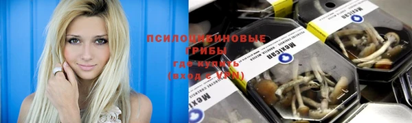 амф Богородицк