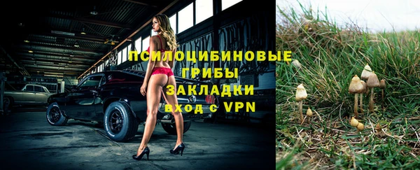 таблы Богданович