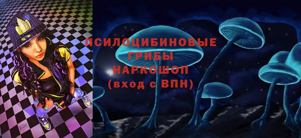 гидра Бугульма