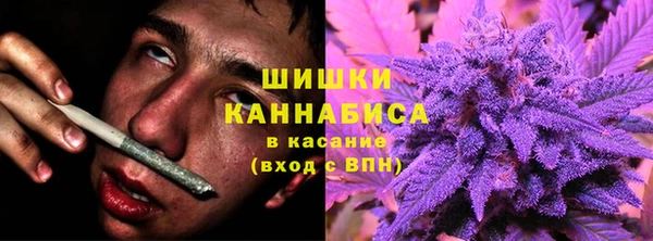амф Богородицк