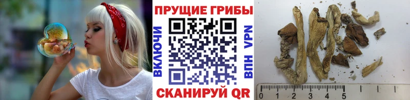 Галлюциногенные грибы MAGIC MUSHROOMS Велиж